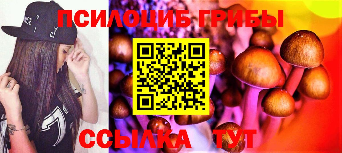 Соликамск  Галлюциногенные грибы мухоморы  Галлюциногенные грибы Psilocybine cubensis  сколько стоит  Вход с VPN 