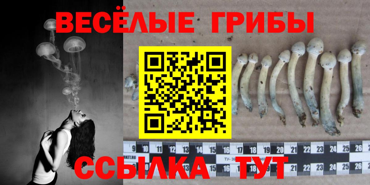 Галлюциногенные грибы GOLDEN TEACHER Соликамск